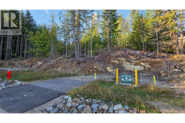 409 Centennial Place, Rossland, BC V0G1Y0 Photo 3