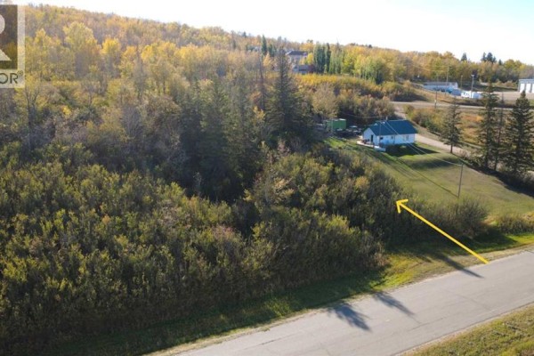 409 Main Street E, Paradise Hill, SK S0M2G0 Photo 2