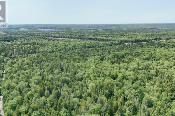 41 & 61 Raynardton Road, Tusket, NS B0W3M0 Photo 5