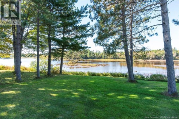View of a calm body of water through a line of tall pine trees and green grass. - 41 Manuel, Baie Sainte Anne