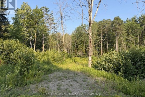 41 Mintha Street, Madawaska Valley, ON, photo 2