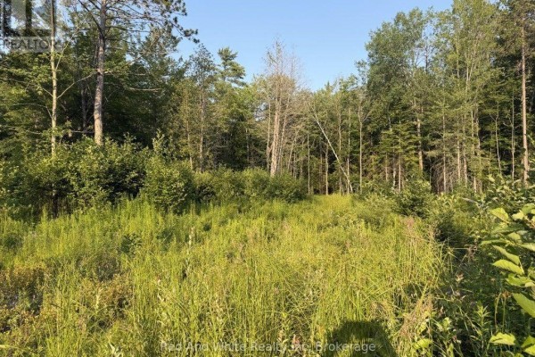 41 Mintha Street, Madawaska Valley, ON K0J1B0 Photo 4