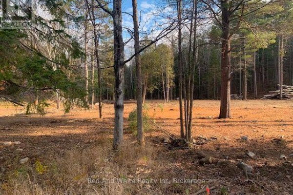 41 Mintha Street, Madawaska Valley, ON K0J1B0 Photo 5