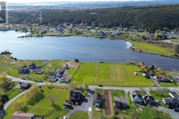41 Northside Road, Bay Roberts, NL A0A1G0 Photo 4