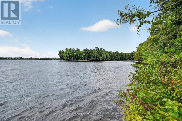 41 Rustic Lane, Rideau Lakes, ON K0G1X0 Photo 4