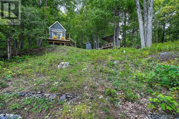 41 Rustic Lane, Rideau Lakes, ON K0G1X0 Photo 5