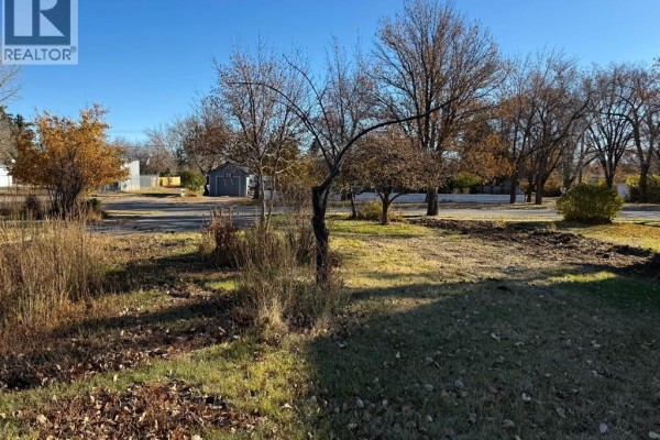 410 Grand Avenue, Carmangay, AB T0L0N0 Photo 2