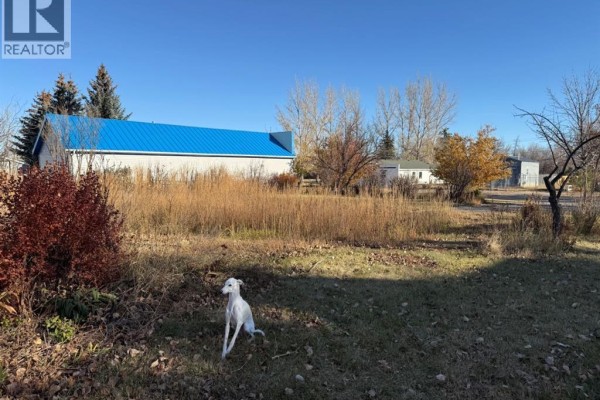 410 Grand Avenue, Carmangay, AB T0L0N0 Photo 3
