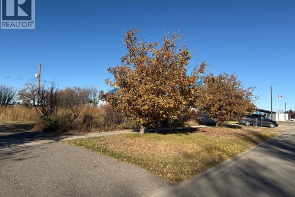 410 Grand Avenue, Carmangay, AB T0L0N0 Photo 4