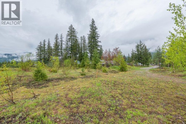 4103 Balsam Way, Malakwa, BC, photo 3