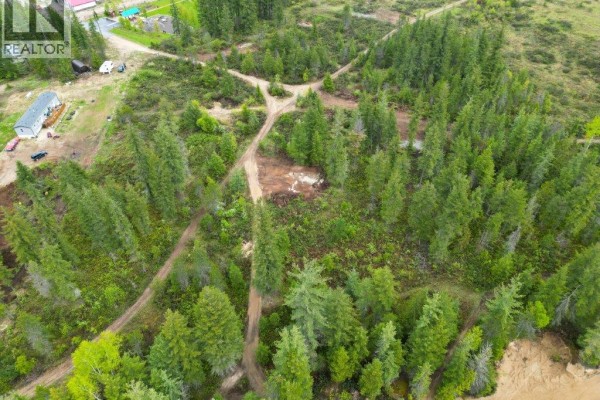4103 Balsam Way, Malakwa, BC V0E2J0 Photo 4