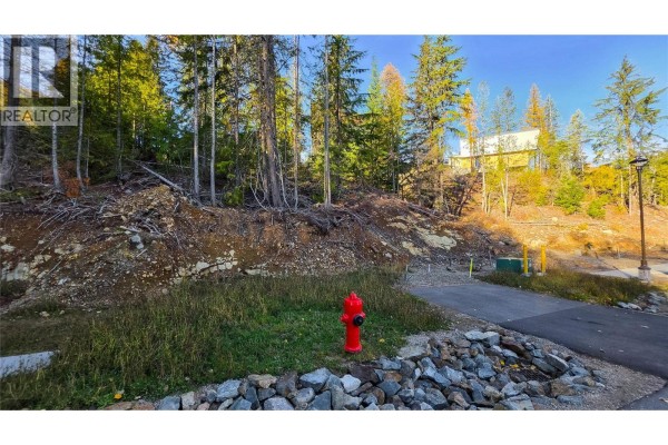 411 Centennial Place, Rossland, BC V0G1Y0 Photo 2