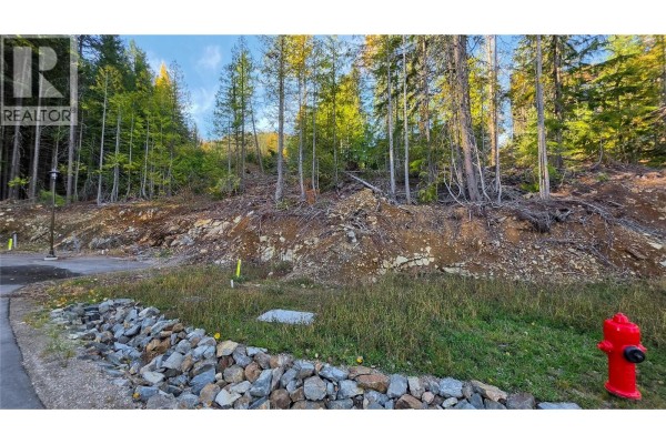 411 Centennial Place, Rossland, BC V0G1Y0 Photo 3