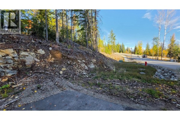 411 Centennial Place, Rossland, BC V0G1Y0 Photo 4