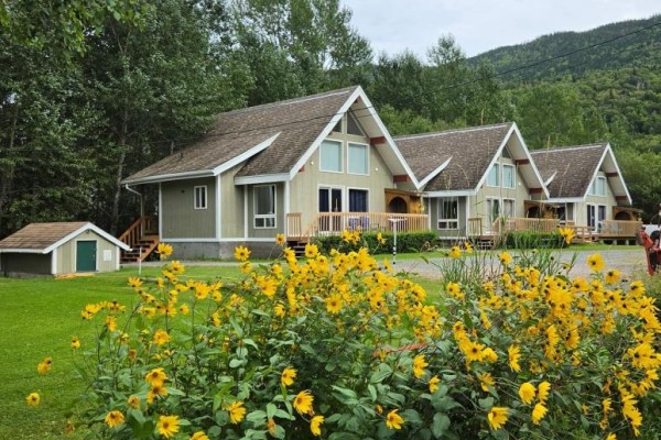 411 Marble Drive, Little Rapids, NL A2H2N2 Photo 2