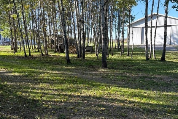 View through trees towards a large white metal barn, with a mobile home and lumber pile visible to the left. - 41102 Township Road 620, Rural Bonnyville M D 