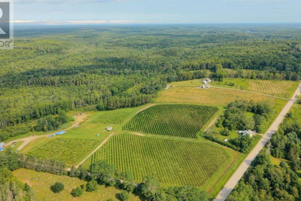 4113 Highway 340, Carleton, NS, photo 2