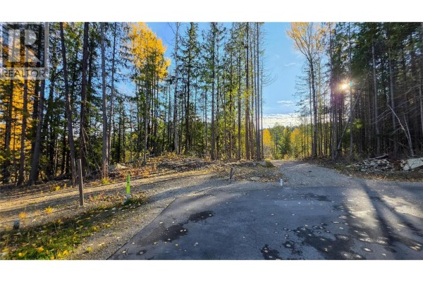 412 Centennial Place, Rossland, BC V0G1Y0 Photo 2