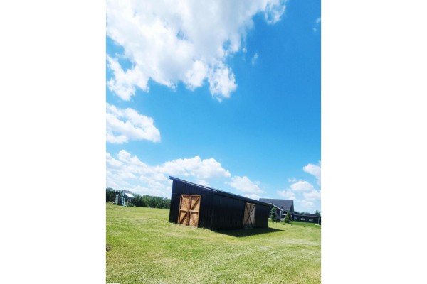 41251 Range Road 210, Rural Camrose County, AB T0B0H0 Photo 5