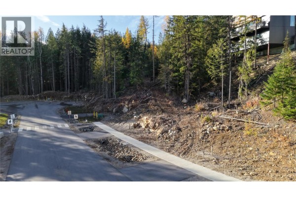 413 Centennial Place, Rossland, BC V0G1Y0 Photo 4