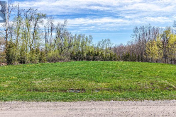 4136 Fountain Drive, Ramara, ON L3V0N5 Photo 4