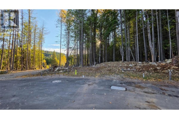 414 Centennial Place, Rossland, BC V0G1Y0 Photo 2
