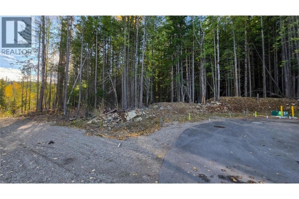 414 Centennial Place, Rossland, BC V0G1Y0 Photo 3