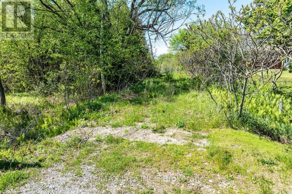 4148 Highway #2, Clarington, ON L1B1L9 Photo 4