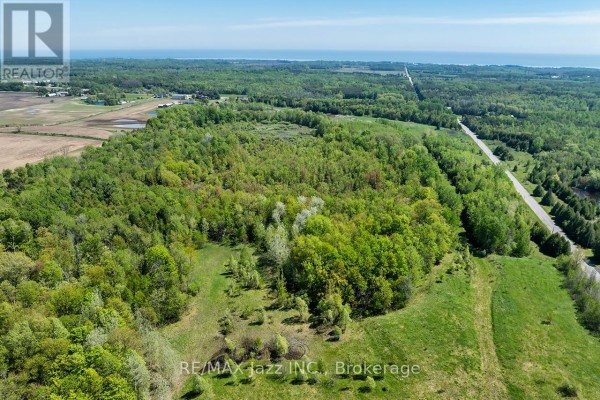 4148 Highway #2, Clarington, ON L1B1L9 Photo 5