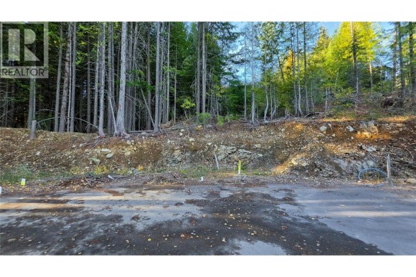 415 Centennial Place, Rossland, BC V0G1Y0 Photo 2