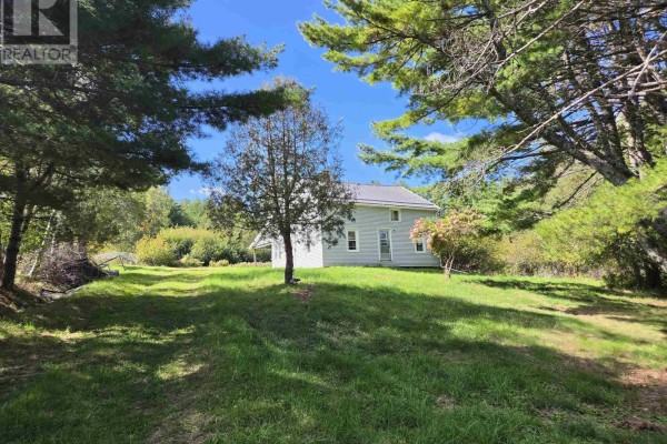 Light blue house with a metal roof surrounded by tall green trees and a grassy lawn. - 415 Old Harmony Road, Harmony Mills