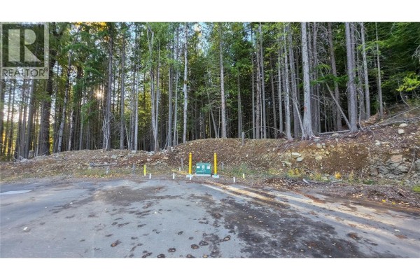 416 Centennial Place, Rossland, BC V0G1Y0 Photo 2