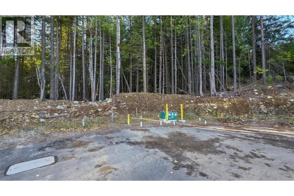 416 Centennial Place, Rossland, BC V0G1Y0 Photo 3