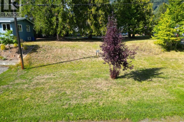 416 Slocan Avenue, New Denver, BC V0G2B0 Photo 5