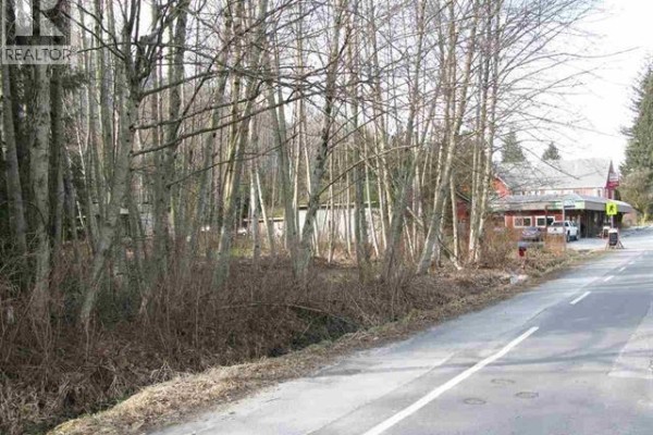 41655 Government Road, Squamish, BC V0N1H0 Photo 5