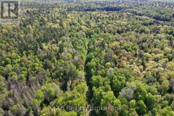 417 Centre Road, Mckellar, ON P0G1C0 Photo 2