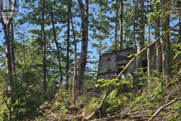 417 Creek Rd, Prince Township, ON, photo 3