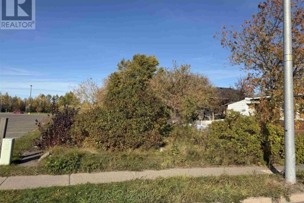 418 Albert St W, Sault Ste  Marie, ON P6A1C3 Photo 4