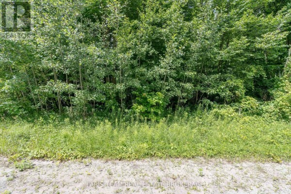 418 Concession 13 Road E, Tiny, ON, photo 3