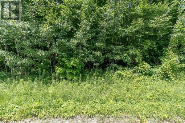 418 Concession 13 Road E, Tiny, ON L9M2H7 Photo 4