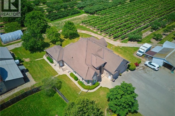 Aerial view of a spacious brick home surrounded by orchards and vineyards. - 4188 Victoria Avenue, Vineland Station