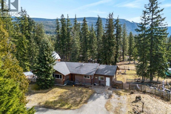 Recreation room - 4198 Malakwa Road, Malakwa, BC V0E2J0 Photo 5