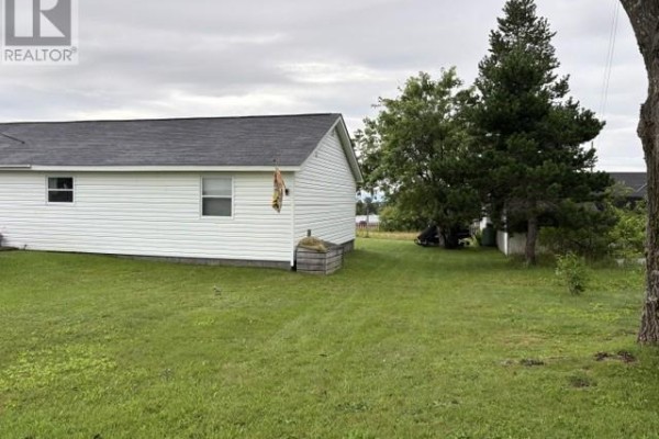 Living room - 42 Hillview Avenue, Stephenville, NL A2N1T1 Photo 4