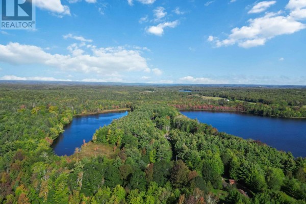 42 Pineridge Road, New Canada, NS B4V4W8 Photo 3