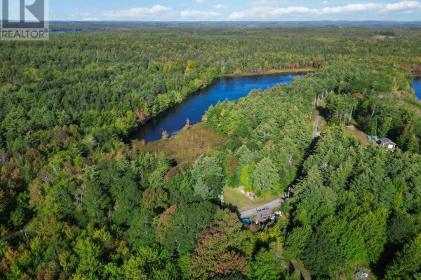 42 Pineridge Road, New Canada, NS B4V4W8 Photo 4