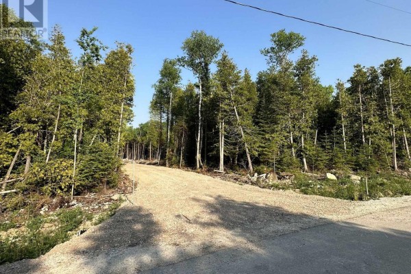42 Trillium Crossing, Northern Bruce Peninsula, ON N0H1W0 Photo 2