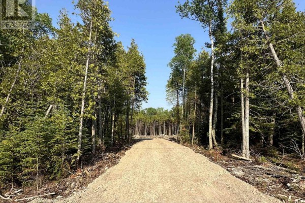 42 Trillium Crossing, Northern Bruce Peninsula, ON N0H1W0 Photo 4