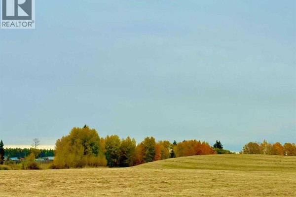 420 Valley View Close, Rural Clearwater County, AB, photo 2
