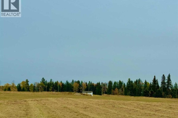 420 Valley View Close, Rural Clearwater County, AB, photo 3