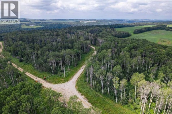 420078 Range Road 245, Rural Ponoka County, AB T0C0Y0 Photo 4